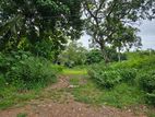 Land for Sale in Kesbewa