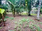 Land for sale in Kesbewa ( Polgasowita)