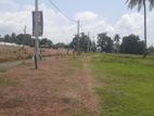 Land for Sale In KesbewaWalmilla