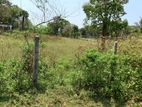 Land for Sale in Kilinochchi