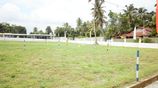 Land for Sale in Kimbulapitiya- Green Haven