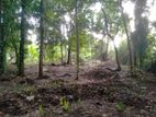 Land for Sale in Kimbulapitiya, Katunayake (C7-6667)