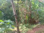 Land for sale in Kimbulgoda , Gmapaha