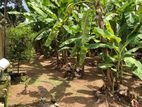 Land for Sale in Kindelpitiya Kesbewa