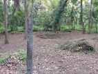 Land For Sale in Kiribathgoda