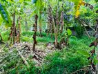 Land for Sale in Kiribathgoda