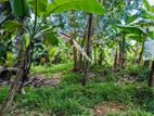 Land For Sale In Kiribathgoda