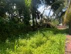Land For Sale In Kiribathgoda (LA-GAMKD-166)