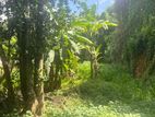 Land for Sale in Kiribathgoda (LA-GAMKG-181)