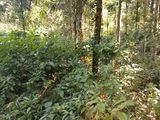 Land for Sale in Kiribathkumbura, Kandy
