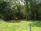 Land for Sale in Kiriella.