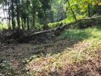 Land for Sale in Kiriella