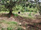 Land for Sale In Kirigala, Horana