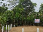 Land for Sale in Kirillawala 12.5P