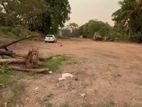 Land for Sale in Kirillawala, Facing Colombo-Kandy Main Road