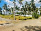 Land for sale in Kirindiwela 11P