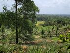 Land for Sale in Kirindiwela