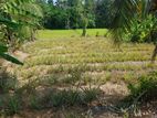 Land for sale in Kirindiwela
