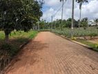 Land for Sale in Kirindiwela