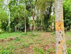 Land for Sale in Kirindiwela
