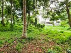 Land for sale in Kirindiwela