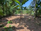 Land for Sale in Kirindiwela