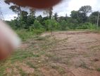 Land for Sale in Kirindiwela