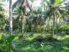 Land for sale in Kirindiwela - Gampaha