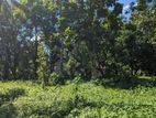 Land for Sale in Kirindiwela Gampaha