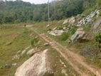 Land for sale in Kirindiwela - Gampaha (SSPL-306)