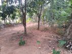 Land for sale in Kirindiwela ( Randawana ) | Gampaha