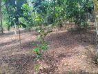 Land for Sale in Kirindiwela Road, Avissawella