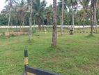 Land for Sale in Kiriwaththuduwa