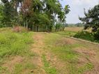 Land for Sale in Kiriwaththuduwa