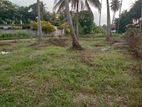 Land for Sale in Kiriwaula