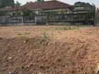 Land for Sale in Kirulapone