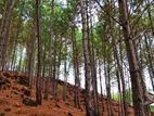 land for sale in kithal ella