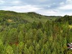 Land for Sale in Kithal Ella