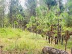 Land for sale in Kithalella
