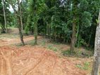 Land for Sale in Kithulgala