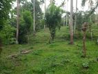 Land for Sale in Kiula, Matale