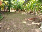 Land for Sale in Kochchikade