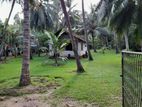 Land for Sale in Kochchikade