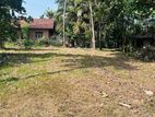 Land for Sale in Kochchikade