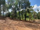 Land for Sale in Koggala