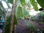 Land for sale in Kohuwala