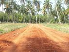 Land for Sale in Kolamabagama