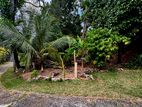 Land for Sale in Kolonnawa