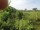 Land for Sale in Koomankulam, Vavuniya