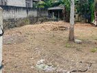 Land for Sale in Koralaima